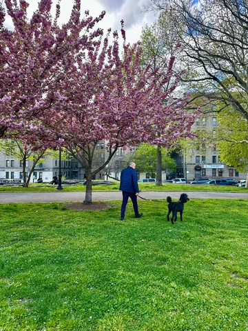 $2,475 | 299 East 161 Street, Unit 309 | Concourse Village