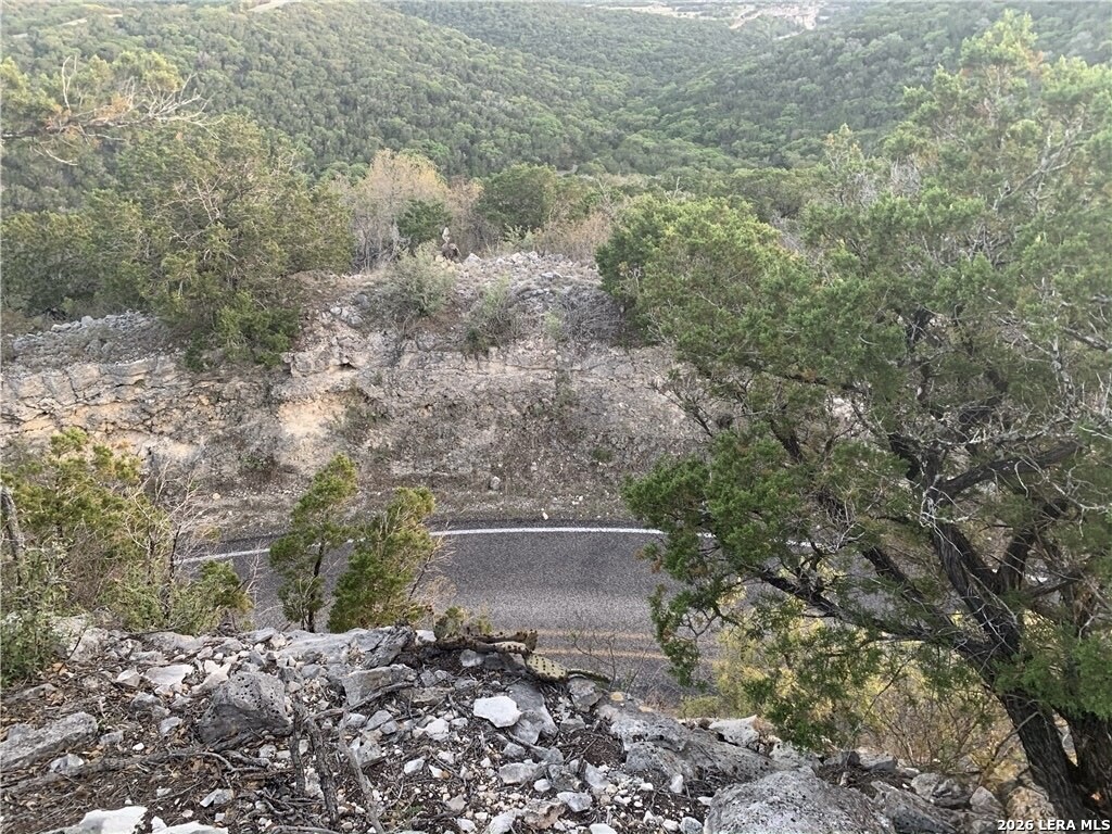 20 WINCHESTER Road Leakey, TX 78873 - Photo 3 of 4 a view of a yard with plants and large trees