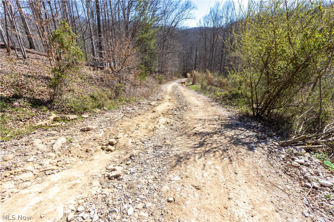 979 Reed Fork Procious, WV 25164 - Photo 12 of 35