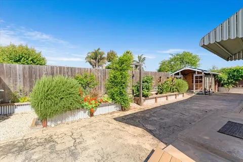 a view of a garden with plants
