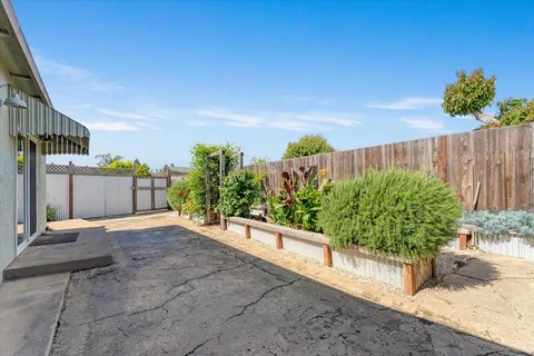 a view of a garden with plants