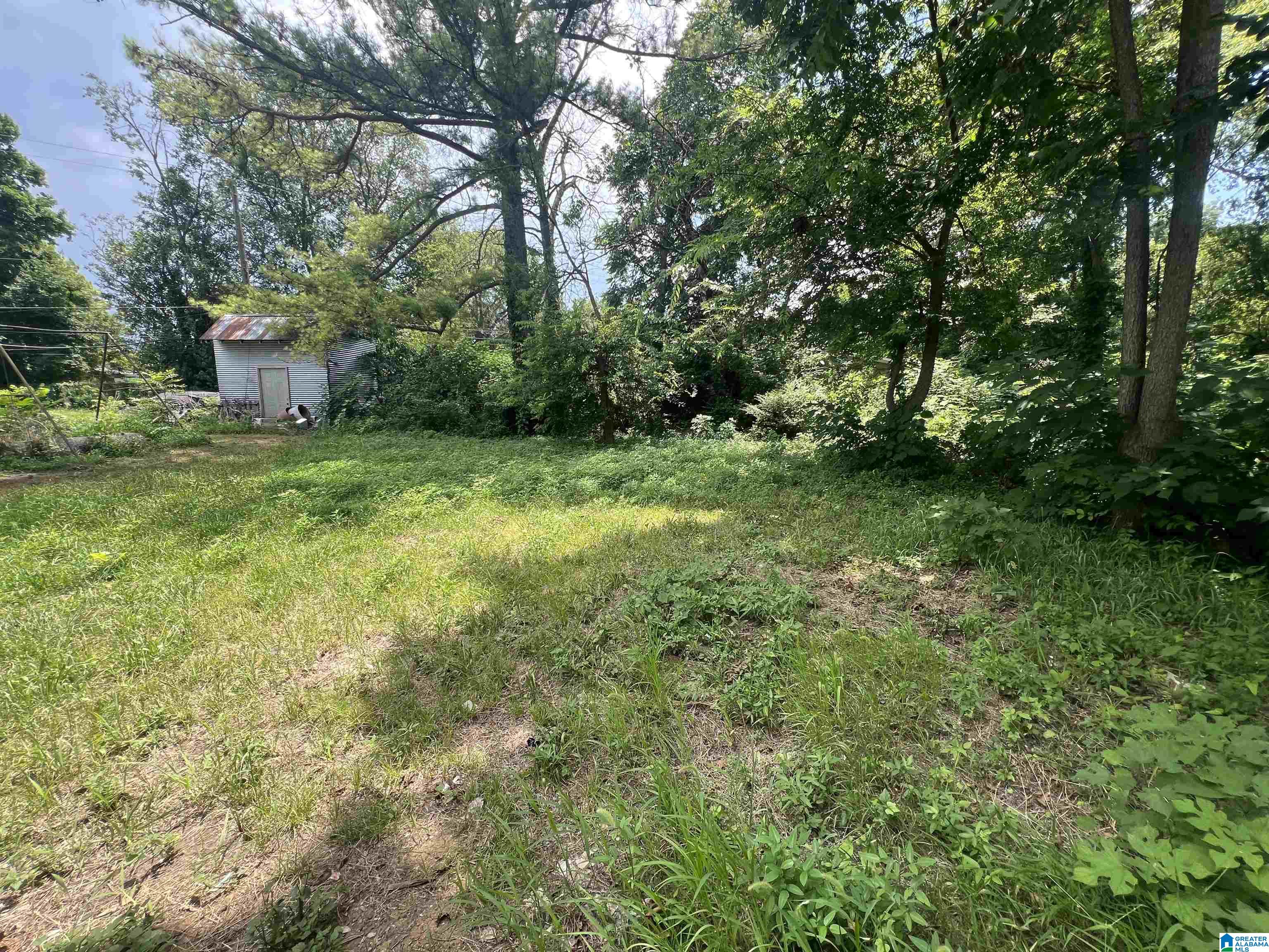 3733 Maple Avenue Southwest Birmingham, AL 35221 - Photo 13 of 14