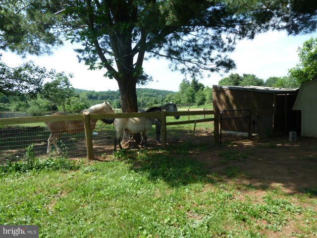 9365 Ramey Road Marshall, VA 20115 - Photo 6 of 20 Exterior (General)