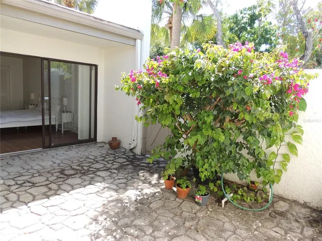 a view of a backyard with plants and large trees