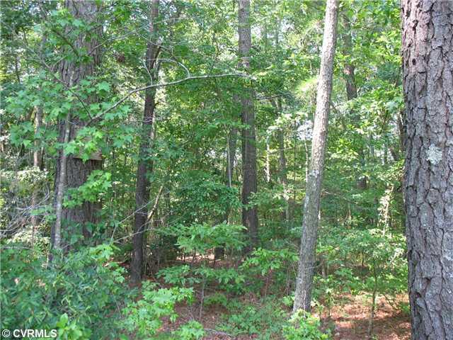 0 Golden Hill Road Elberon, VA 23846 - Photo 3 of 7 Land - Mixed woodland along pastureland
