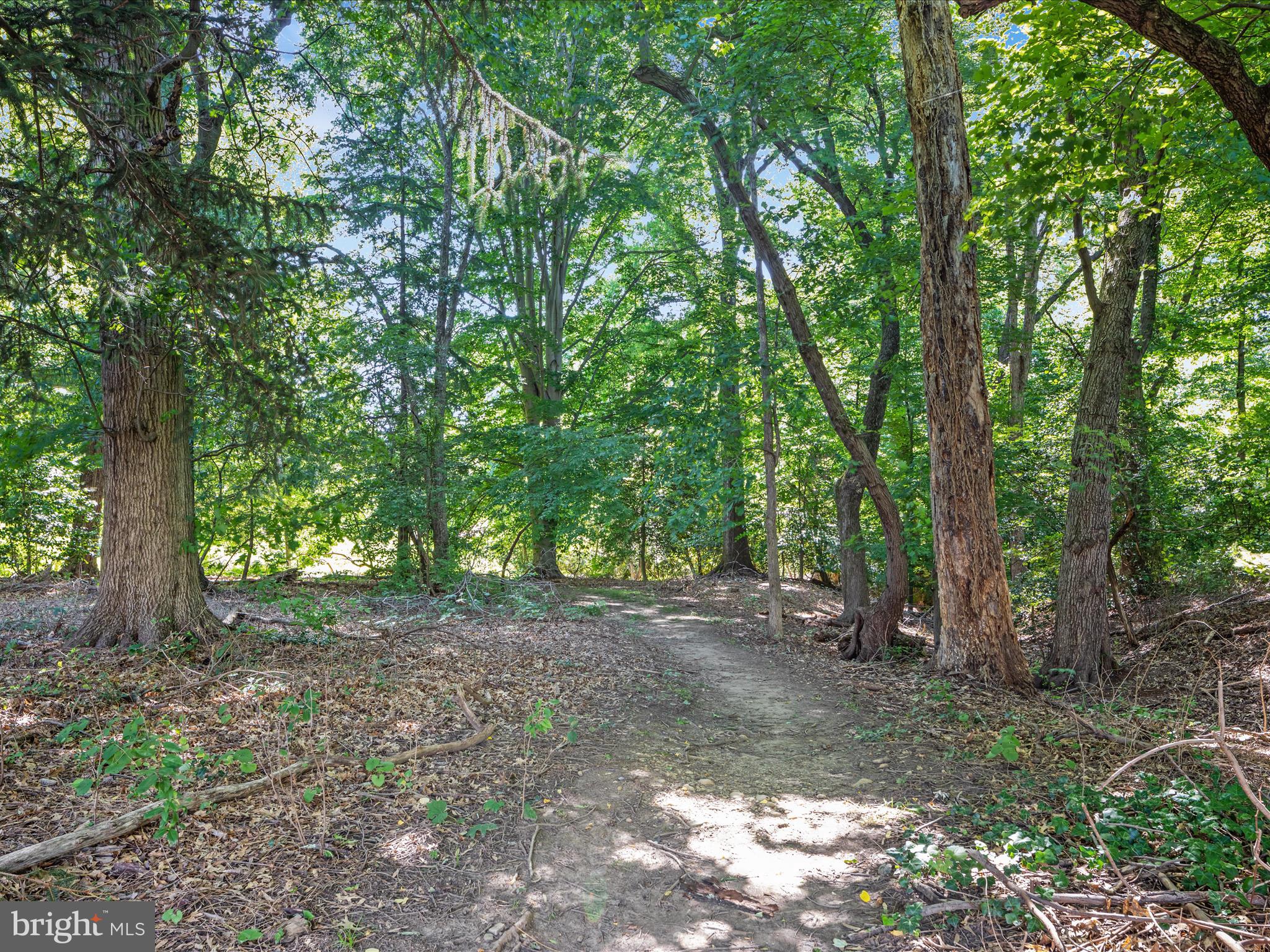 4007 Chesterbrook Road Arlington, VA 22207 - Photo 67 of 70 Glebe Park Walking Trail