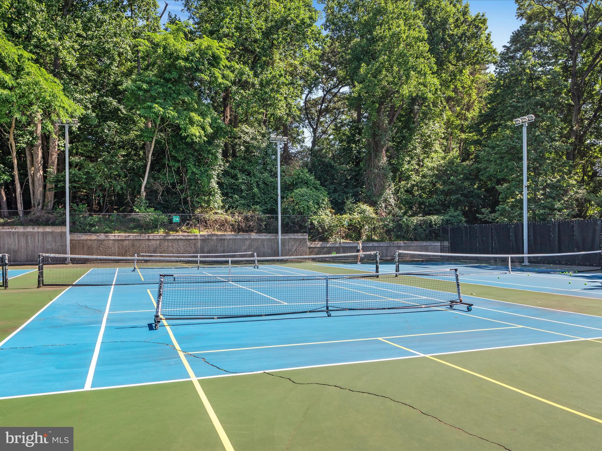 4007 Chesterbrook Road Arlington, VA 22207 - Photo 69 of 70 Glebe Park Sports Courts