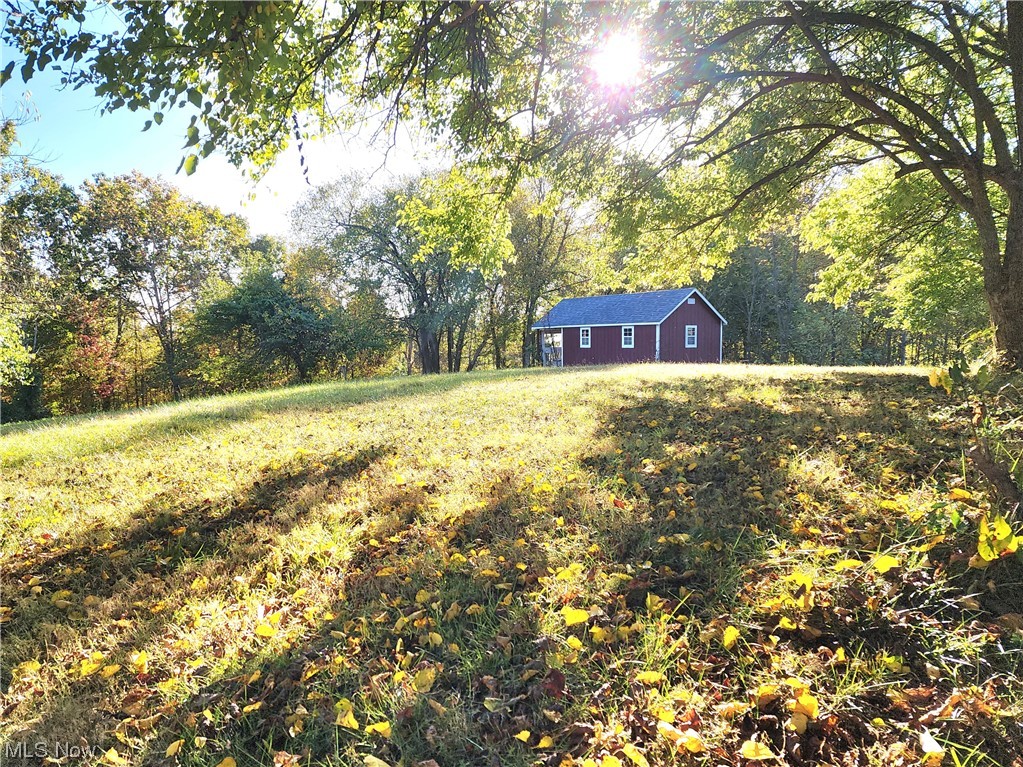 2465 South Elliott Road Stockport, OH 43787 - Photo 19 of 27 View of yard