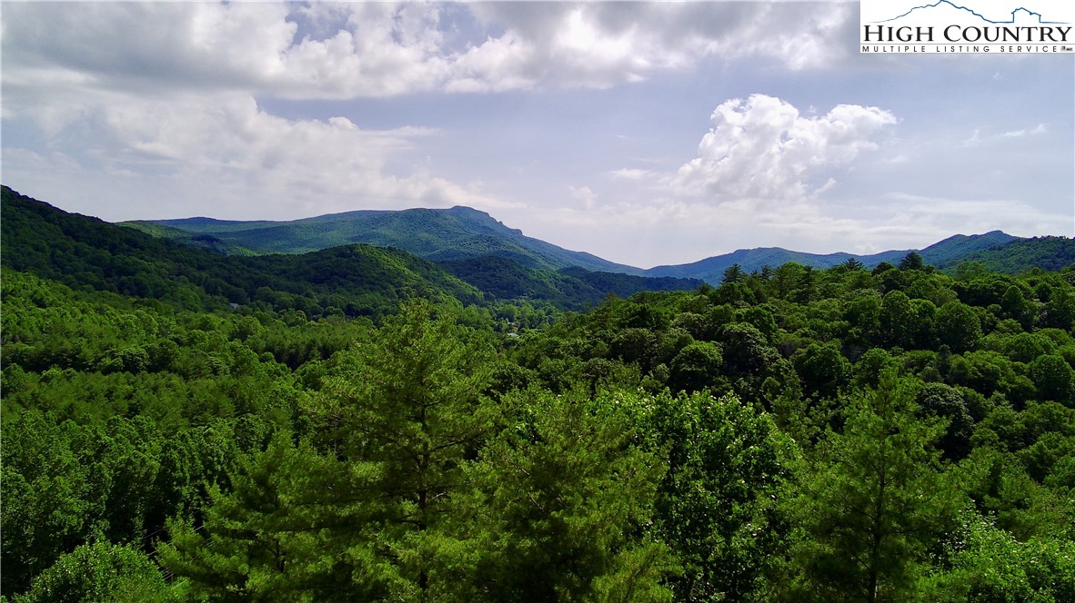 Carl Giles Road Boone, NC 28607 - Photo 1 of 13 a view of a lot of trees in a field