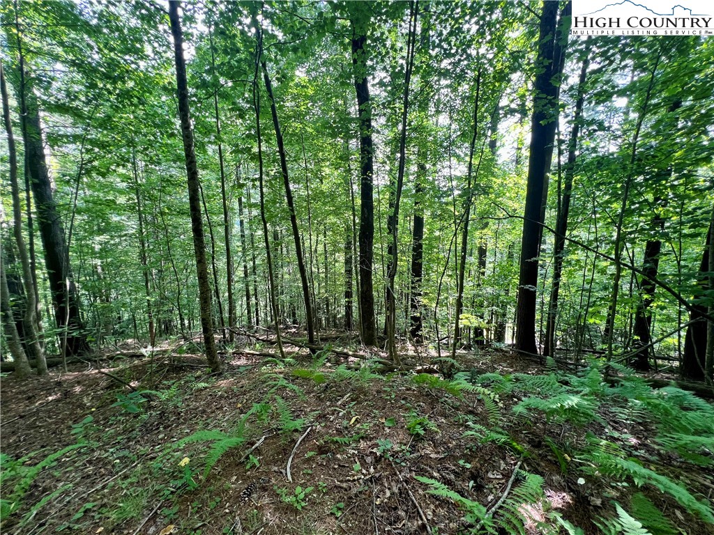 Carl Giles Road Boone, NC 28607 - Photo 12 of 13 a view of outdoor space and green space