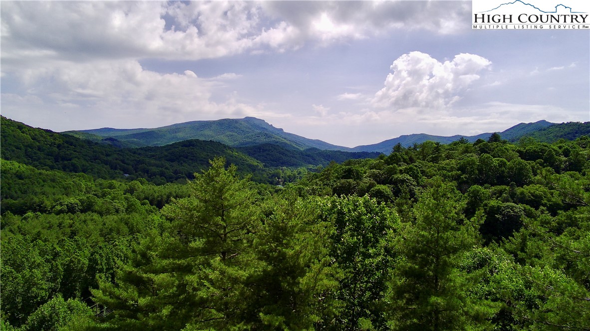Carl Giles Road Boone, NC 28607 - Photo 13 of 13 a view of a bunch of trees in a field