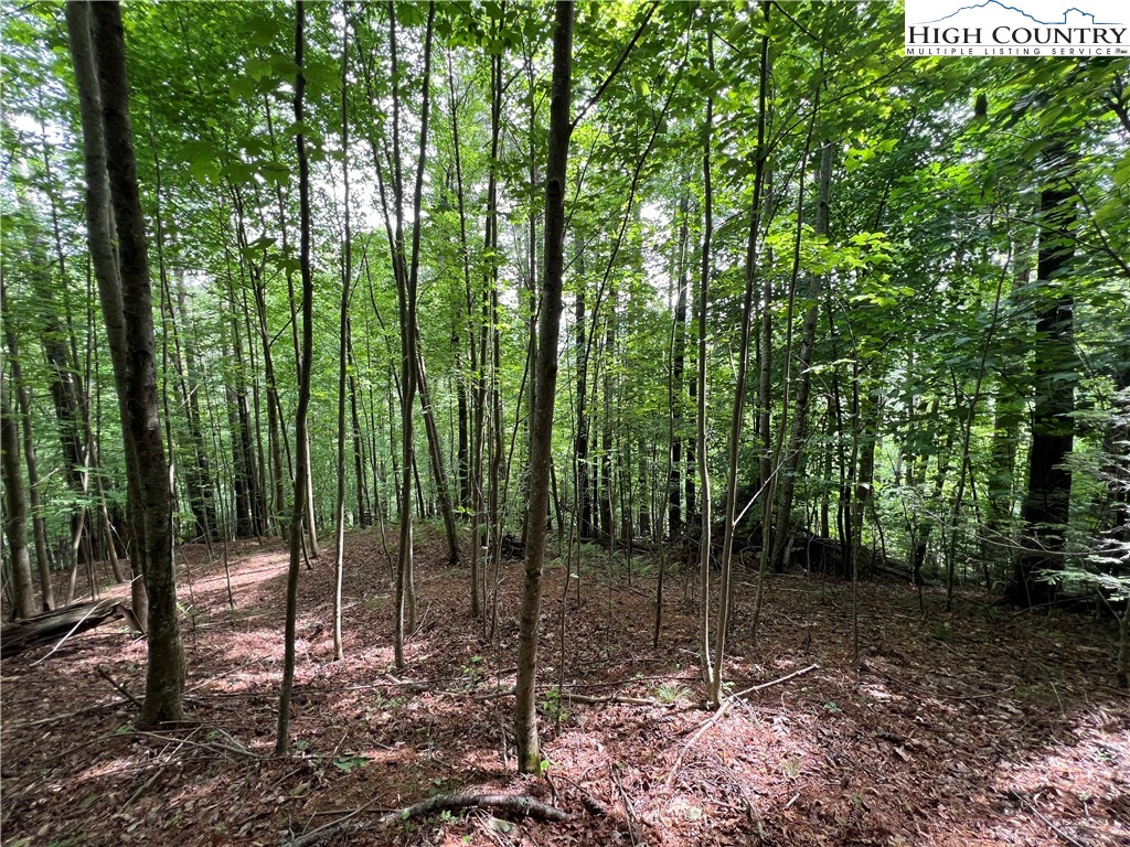 Carl Giles Road Boone, NC 28607 - Photo 2 of 13 a backyard of a house with lots of green space