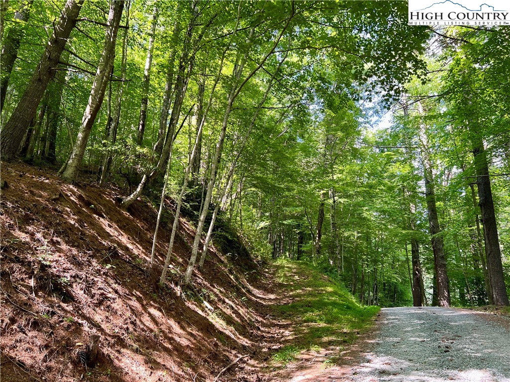 Carl Giles Road Boone, NC 28607 - Photo 3 of 13 a view of a forest with a tree