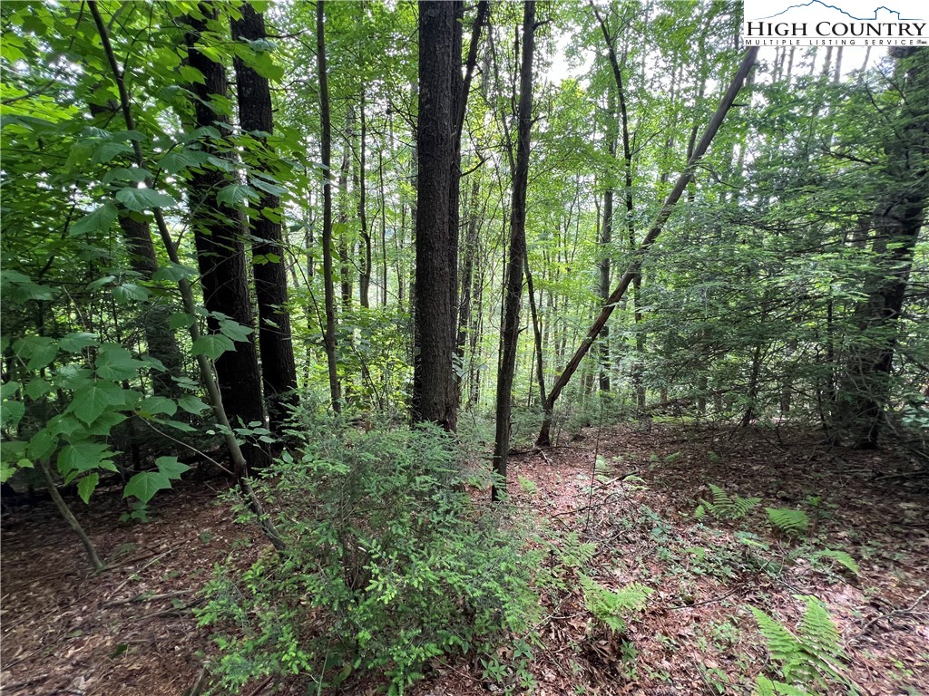 Carl Giles Road Boone, NC 28607 - Photo 5 of 13 a view of outdoor space and trees