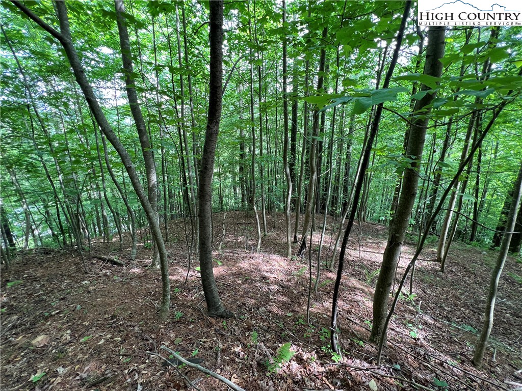 Carl Giles Road Boone, NC 28607 - Photo 9 of 13 a view of outdoor space and trees