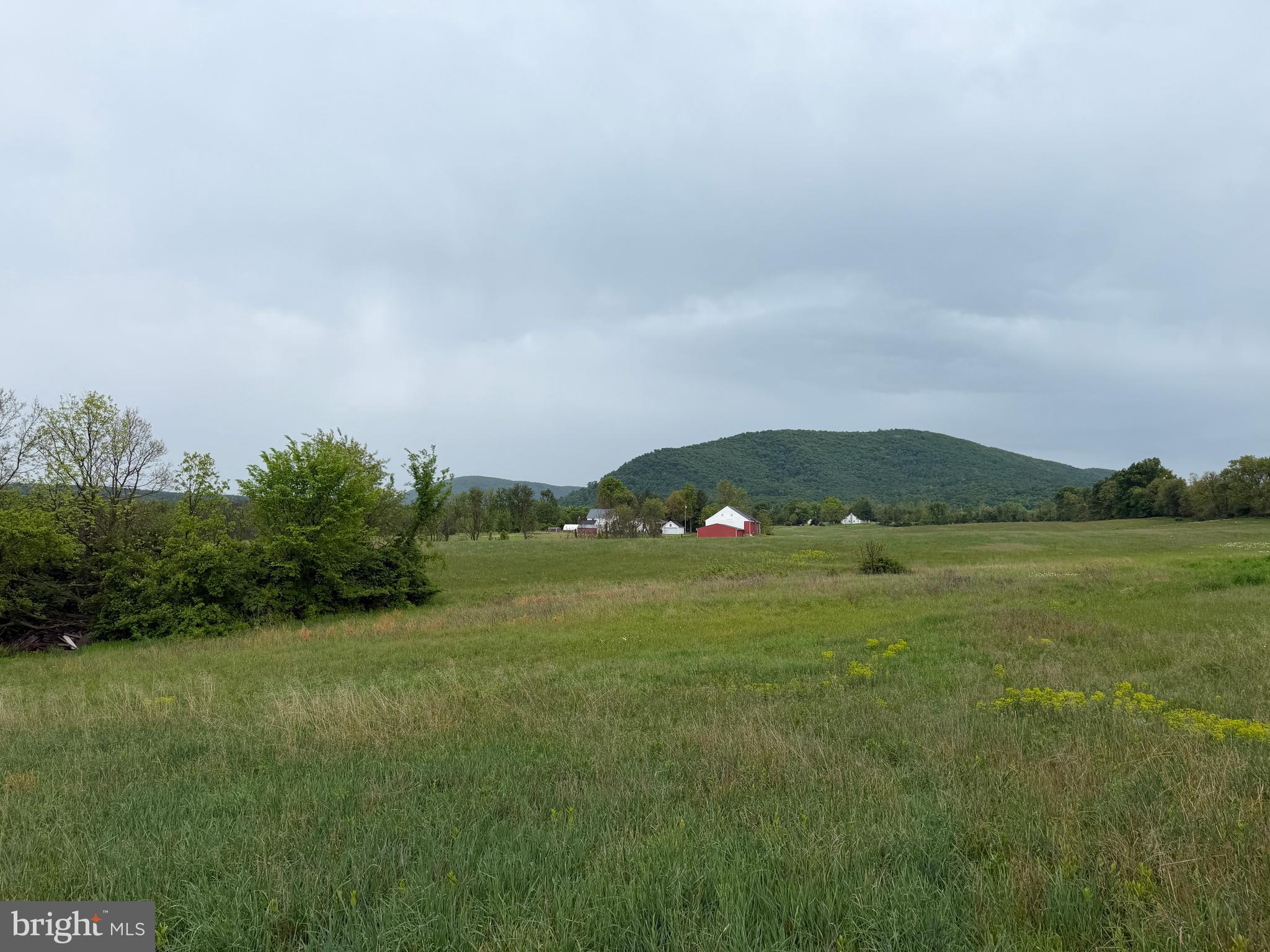 12591 Shimpstown Road Mercersburg, PA 17236 - Photo 58 of 147