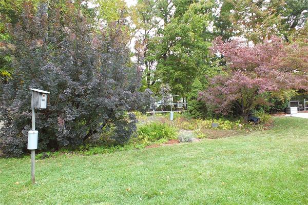 1 Blacksmith Road Chelmsford, MA 01824 - Photo 29 of 29 a backyard of a house with lots of green space