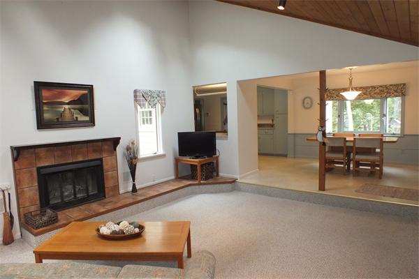 1 Blacksmith Road Chelmsford, MA 01824 - Photo 6 of 29 a living room with furniture and a fireplace