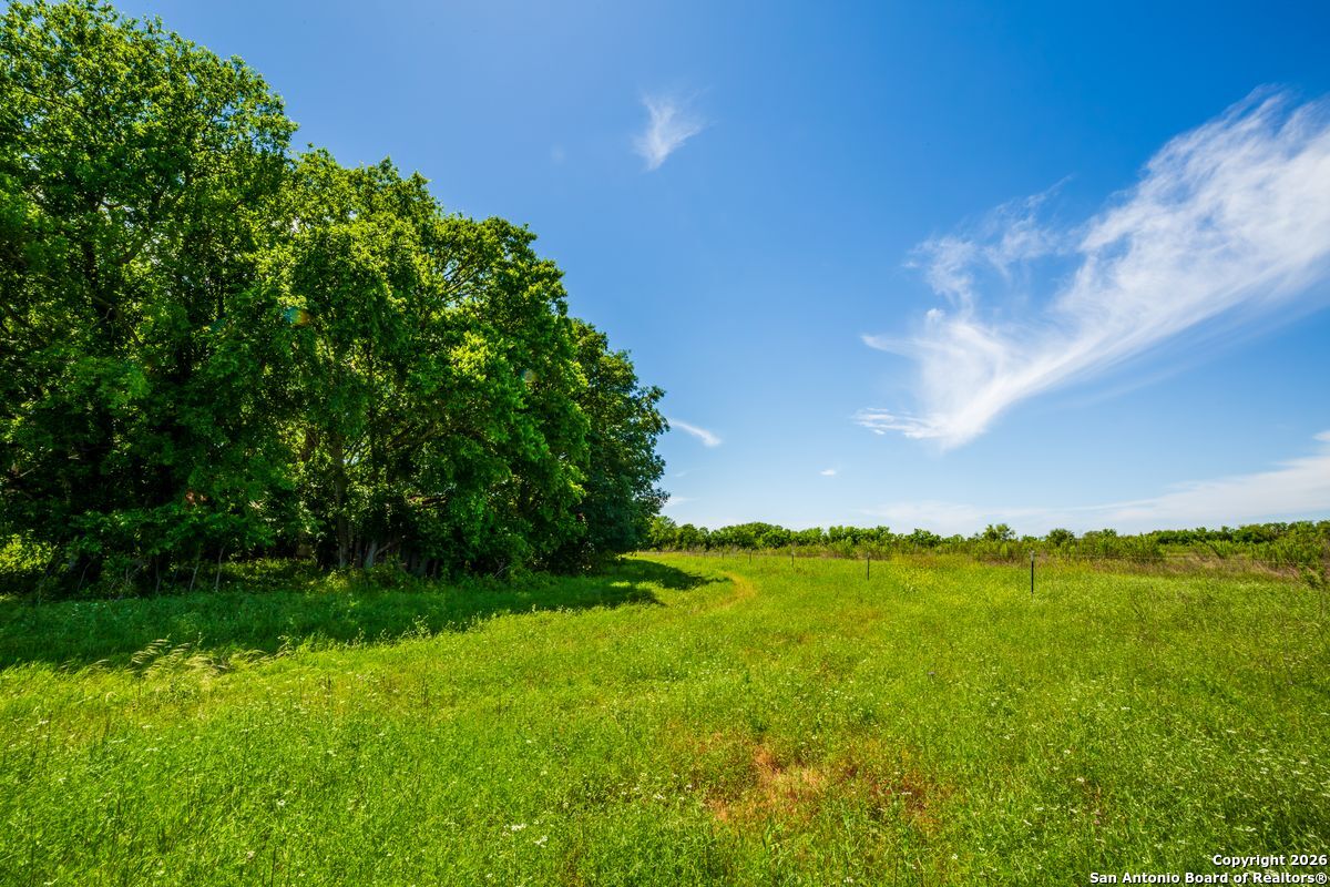 8623 Huber Road Seguin, TX 78155 - Photo 1 of 15
