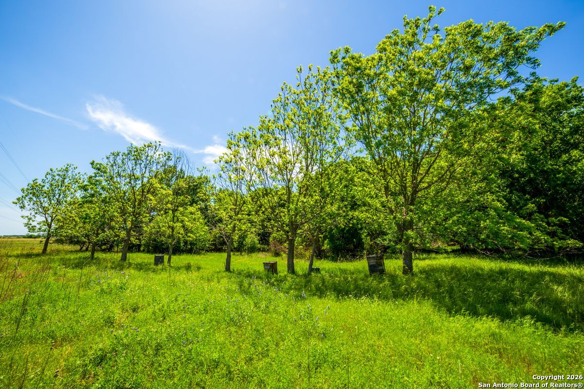 8623 Huber Road Seguin, TX 78155 - Photo 13 of 15