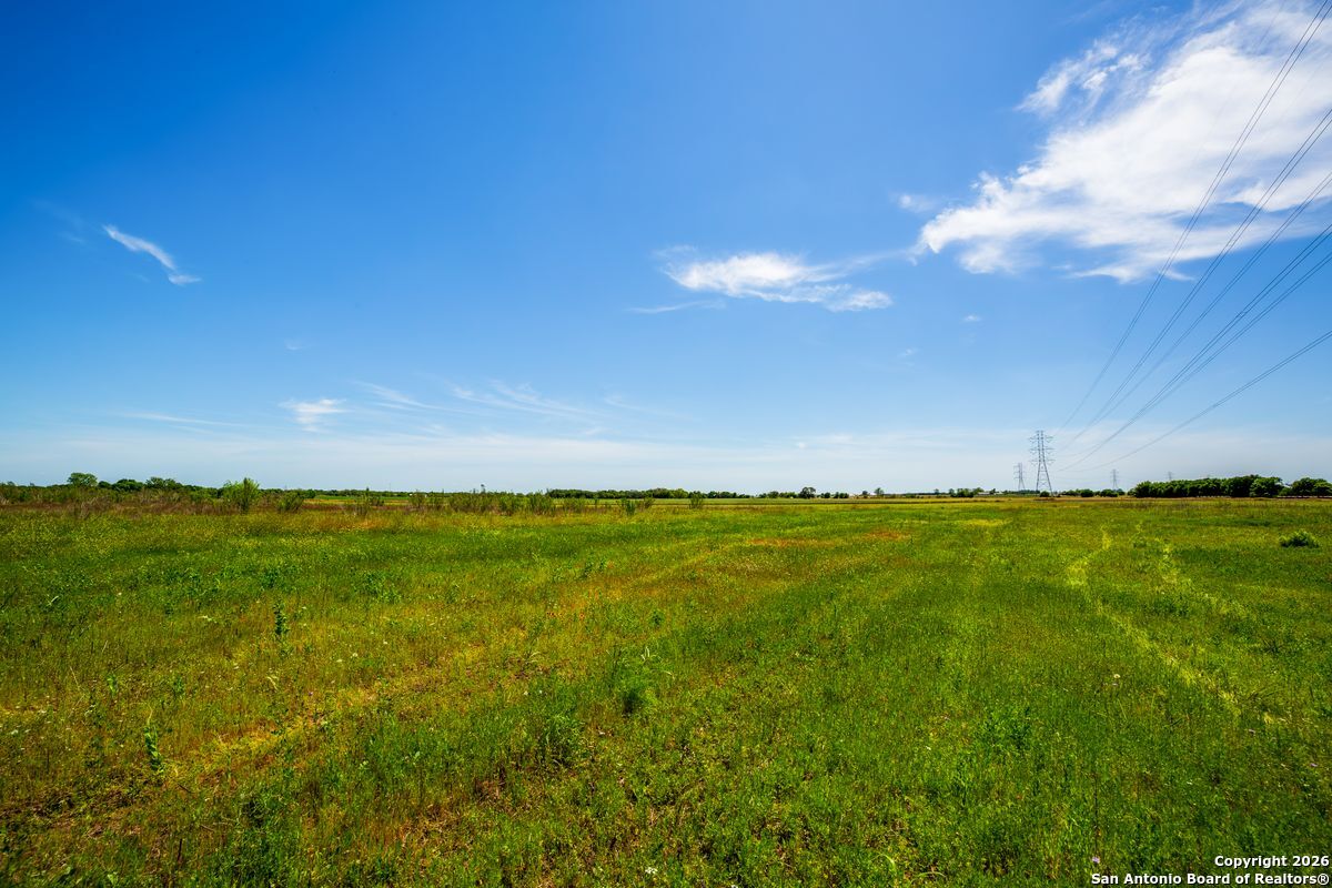 8623 Huber Road Seguin, TX 78155 - Photo 2 of 15