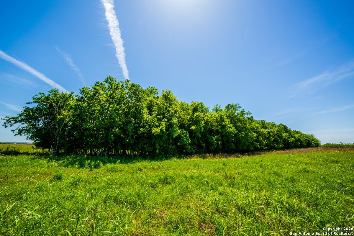 8623 Huber Road Seguin, TX 78155 - Photo 4 of 15