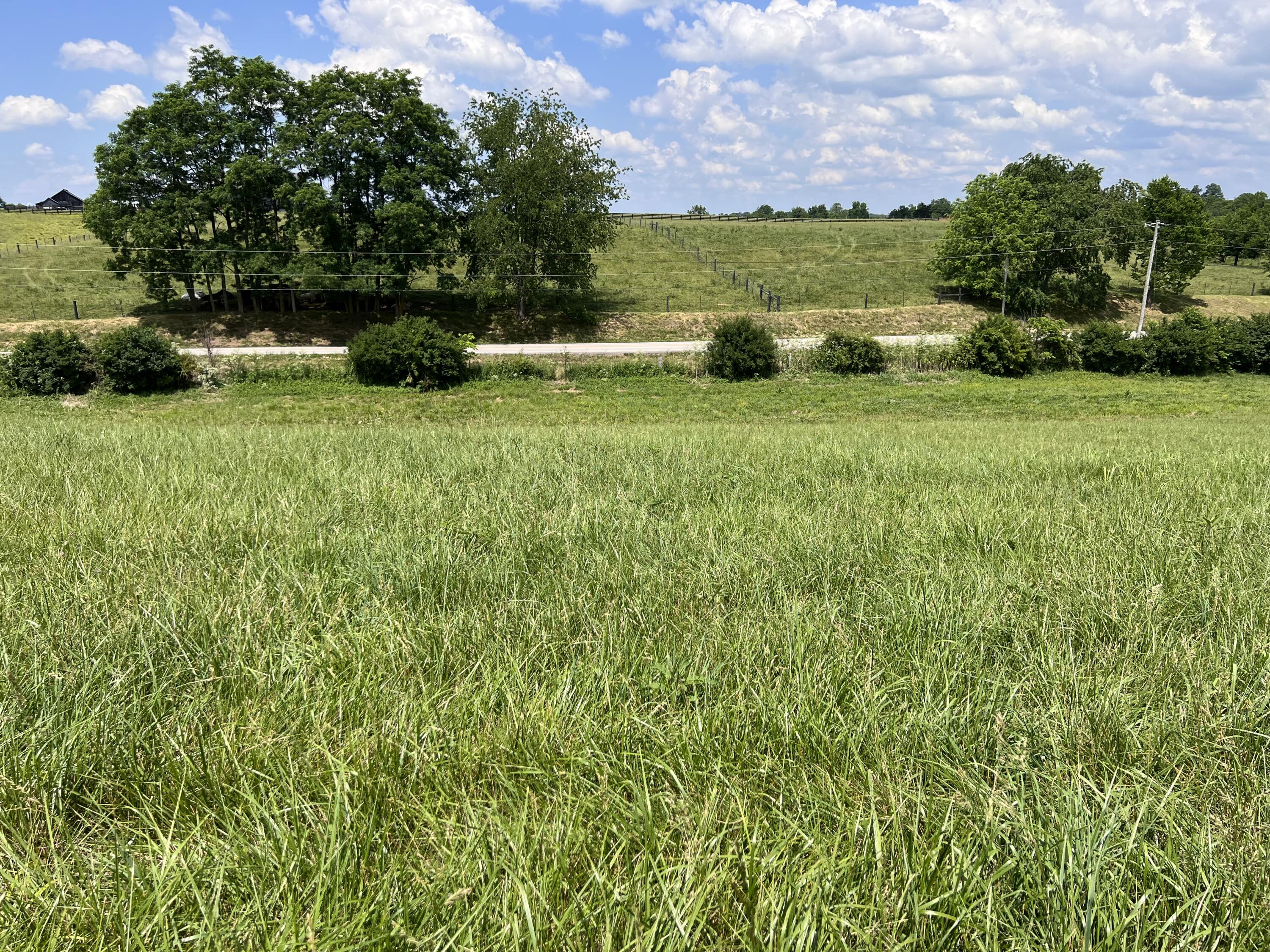 190 White Station Road Berea, KY 40403 - Photo 7 of 7 station 4