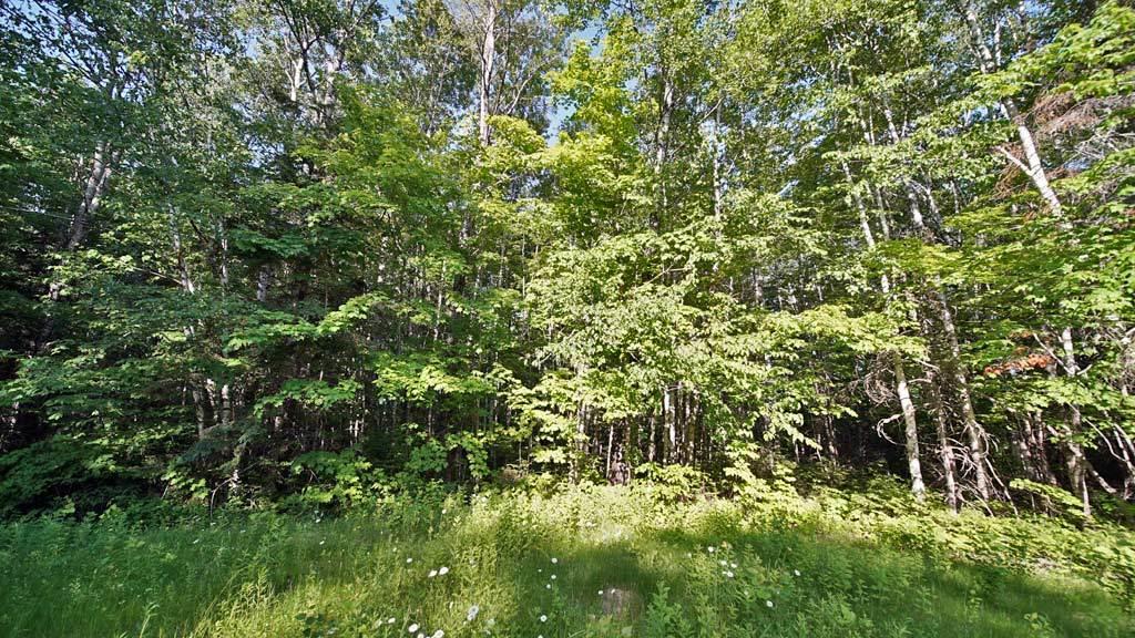 925 Shin Pond Road Mount Chase, ME 04765 - Photo 55 of 59 mt-chase-925-shin-pond-rd-6