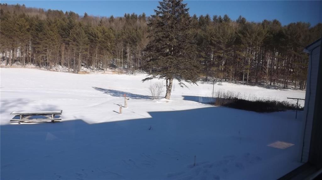 119 North Buckfield Road Buckfield, ME 04220 - Photo 20 of 26 behind the house