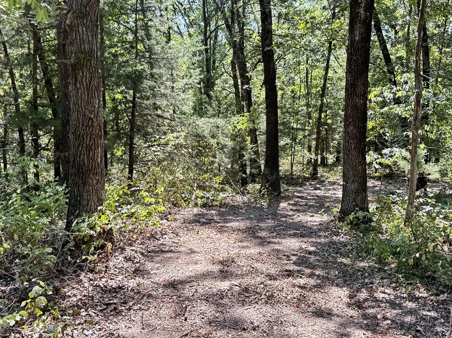0 Southeast 871 Road Collins, MO 64738 - Photo 12 of 26 12