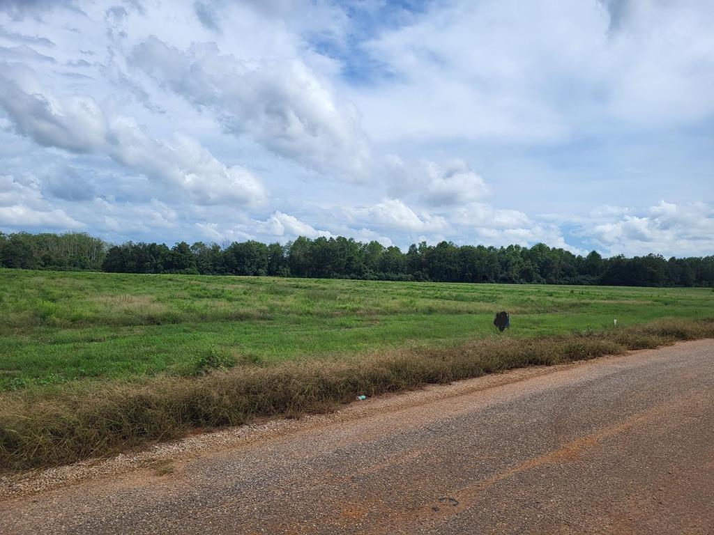 Lot 2 Enterprise Church Road Ashford, AL 36312 - Photo 5 of 8