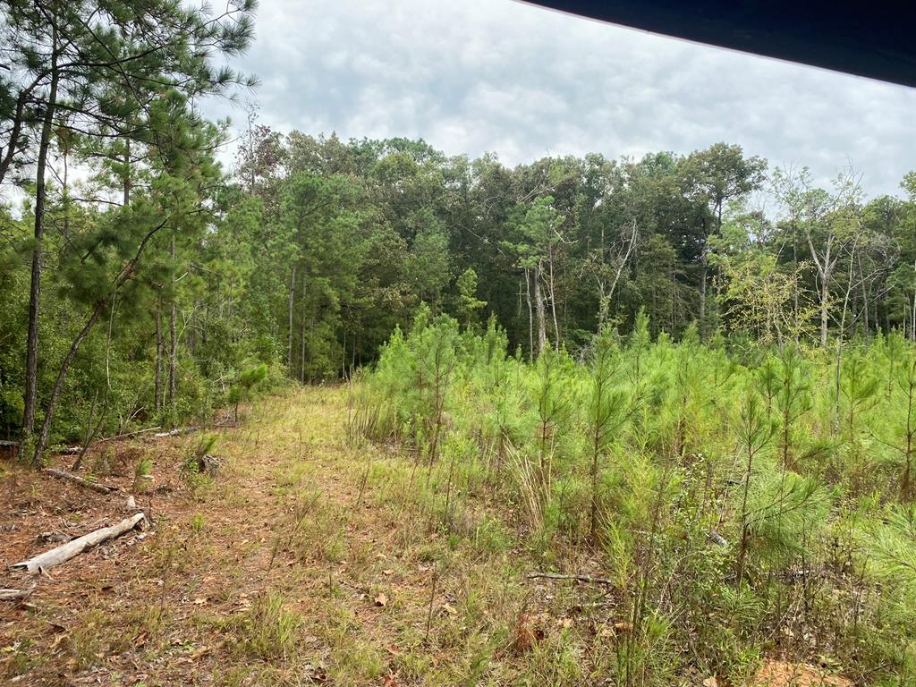 250 Adams Mill Road Clayton, AL 36016 - Photo 68 of 74