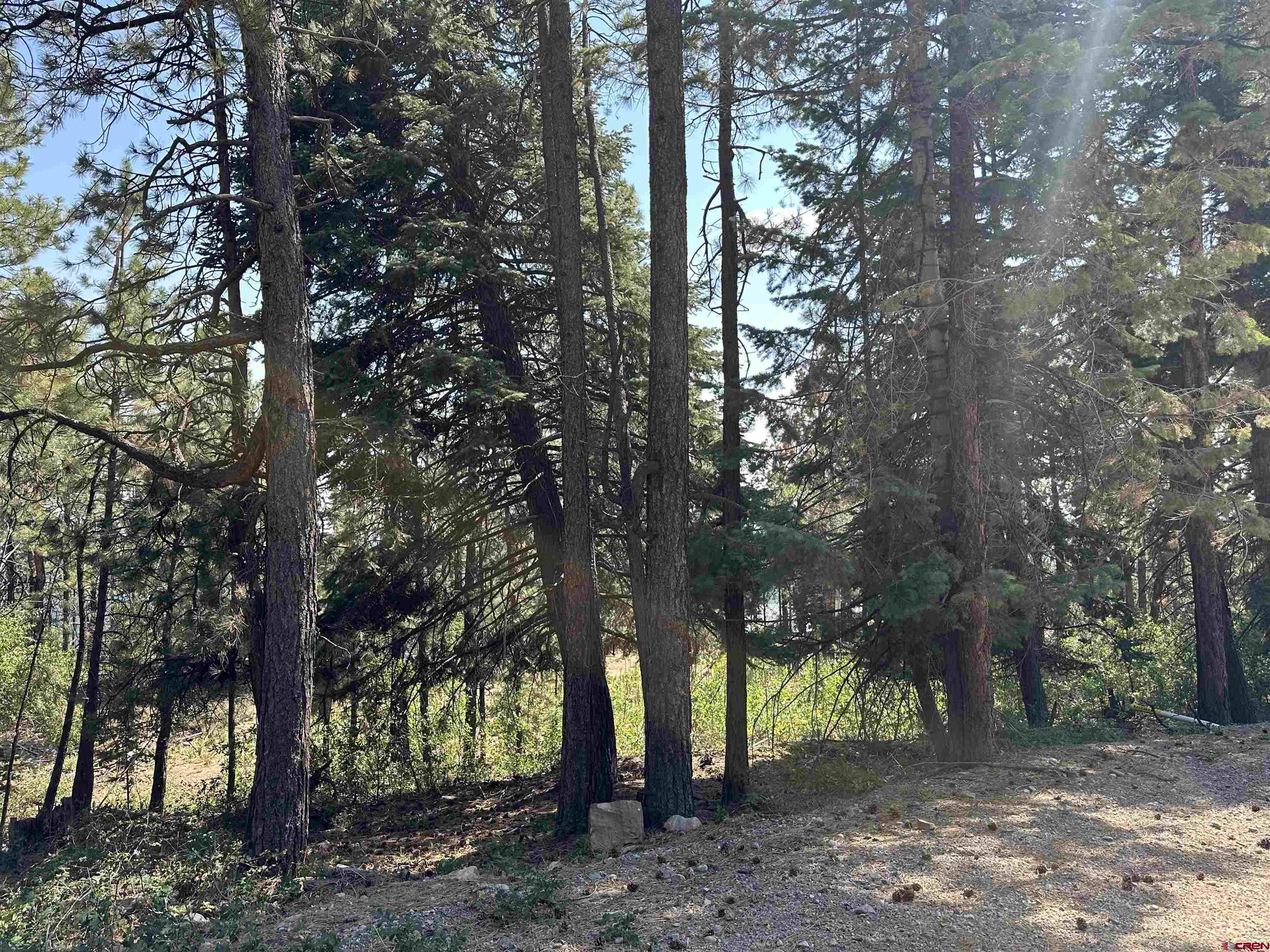 186 Pine Ridge Drive Bayfield, CO 81122 - Photo 25 of 25