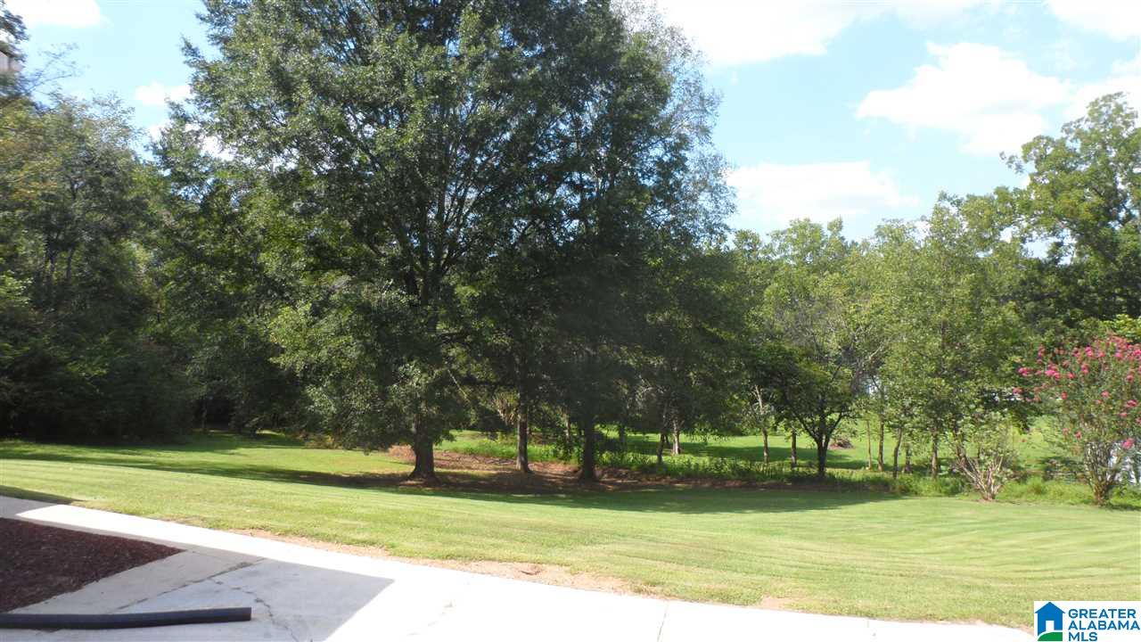 165 Ketchum Road Blountsville, AL 35031 - Photo 3 of 16