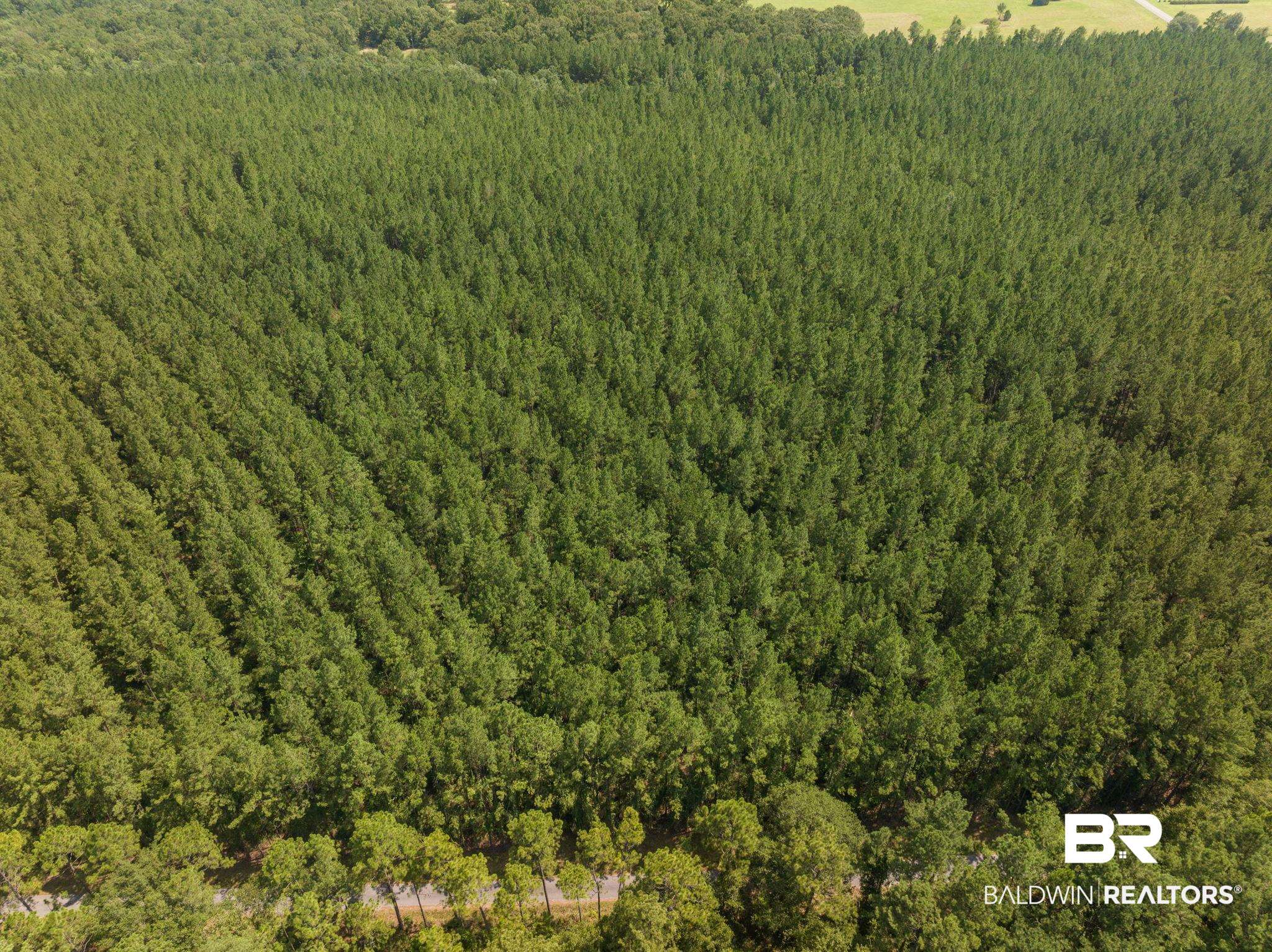 0 Old Hubbard Road Bay Minette, AL 36507 - Photo 6 of 7