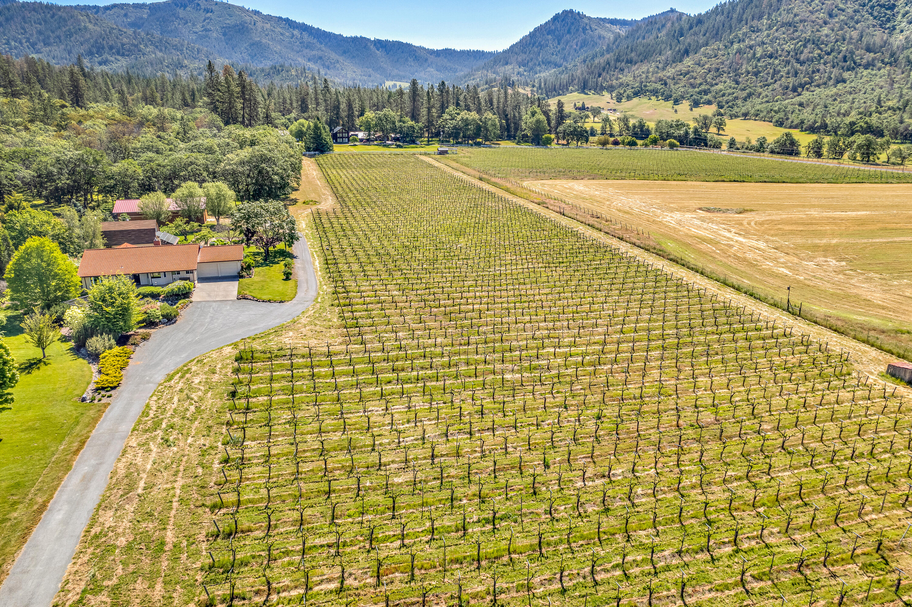 1494 Kubli Road Grants Pass, OR 97527 - Photo 59 of 67 DJI_0926