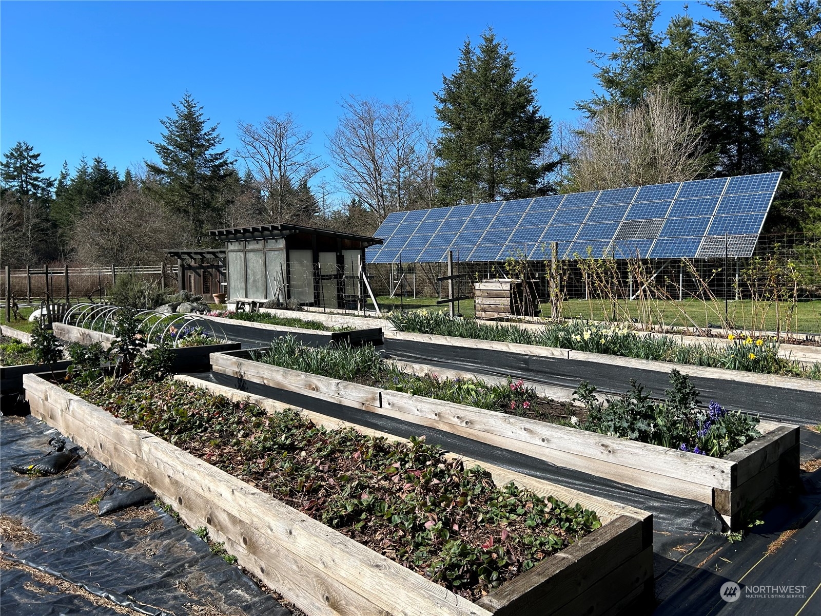 1738 Lampard Road Friday Harbor, WA 98250 - Photo 38 of 40