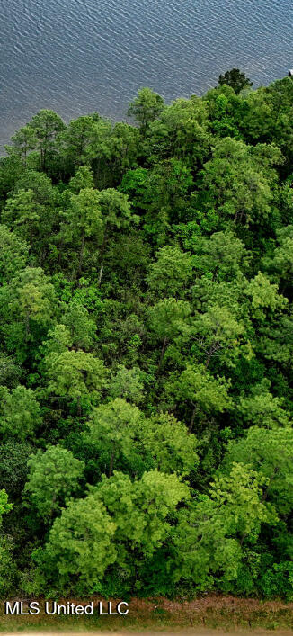 West Riverline Drive Saucier, MS 39574 - Photo 4 of 4 IMG_0571