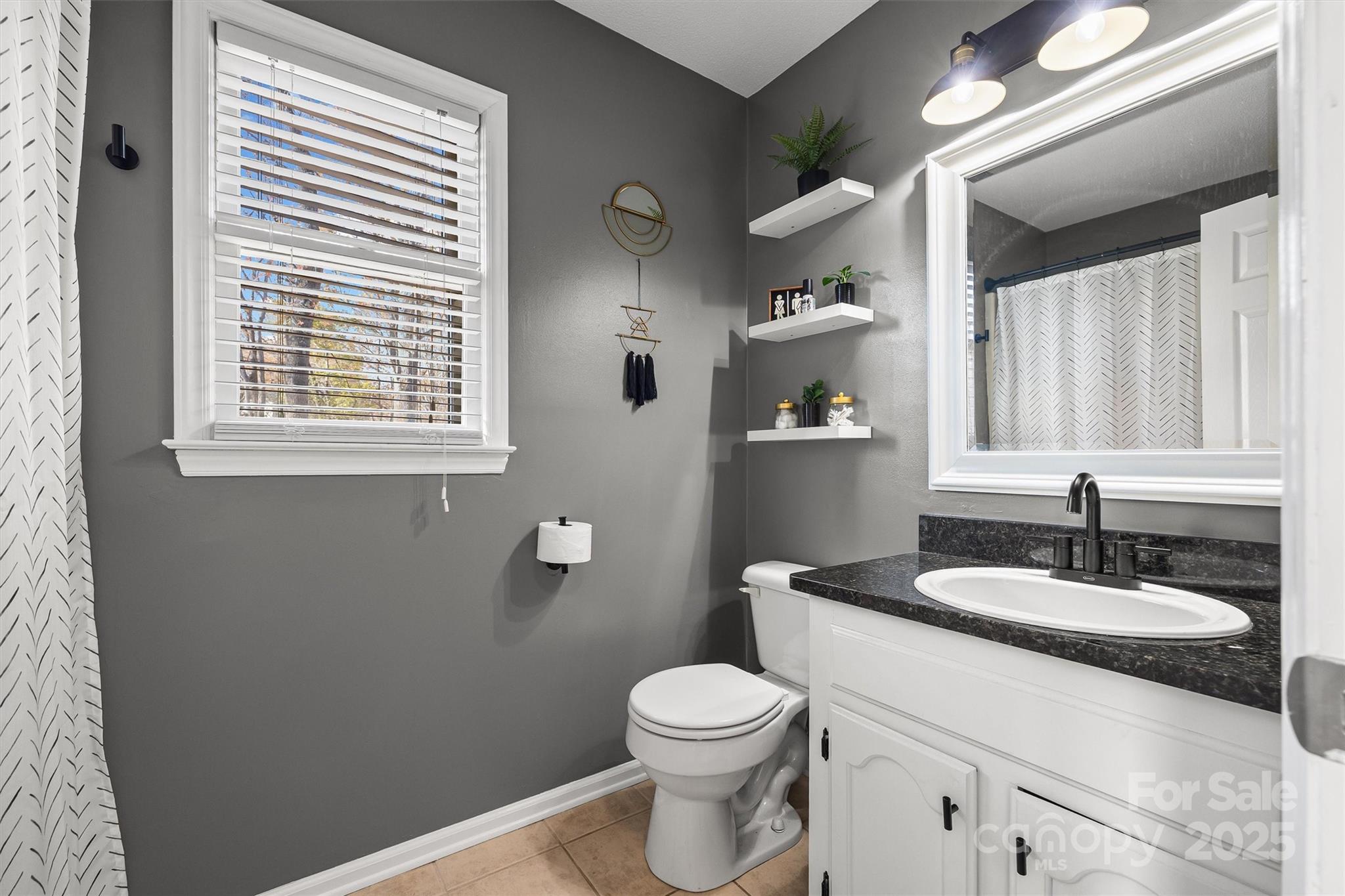 521 Rabun Circle Rock Hill, SC 29730 - Photo 20 of 28 a bathroom with a sink toilet and a mirror