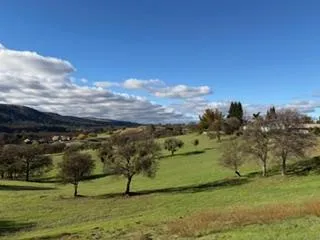 a view of swimming pool with a yard