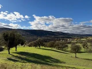 a view of a golf course with a lake