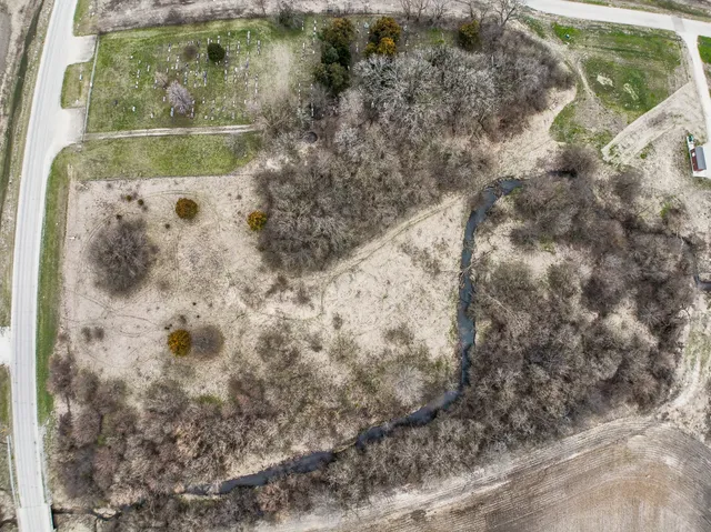 a close up of a tree