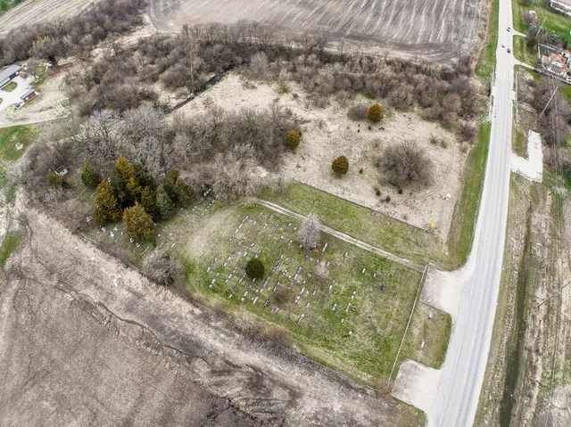 a view of a garden with a tree