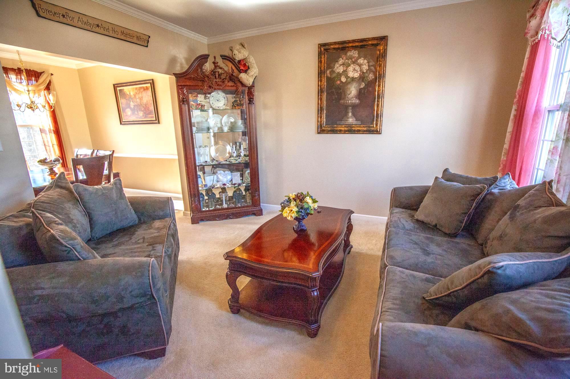 226 Rippling Waters Way Falling Waters, WV 25419 - Photo 5 of 64