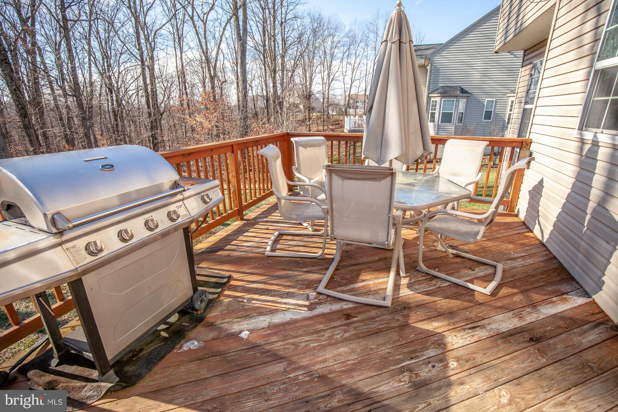 226 Rippling Waters Way Falling Waters, WV 25419 - Photo 60 of 64