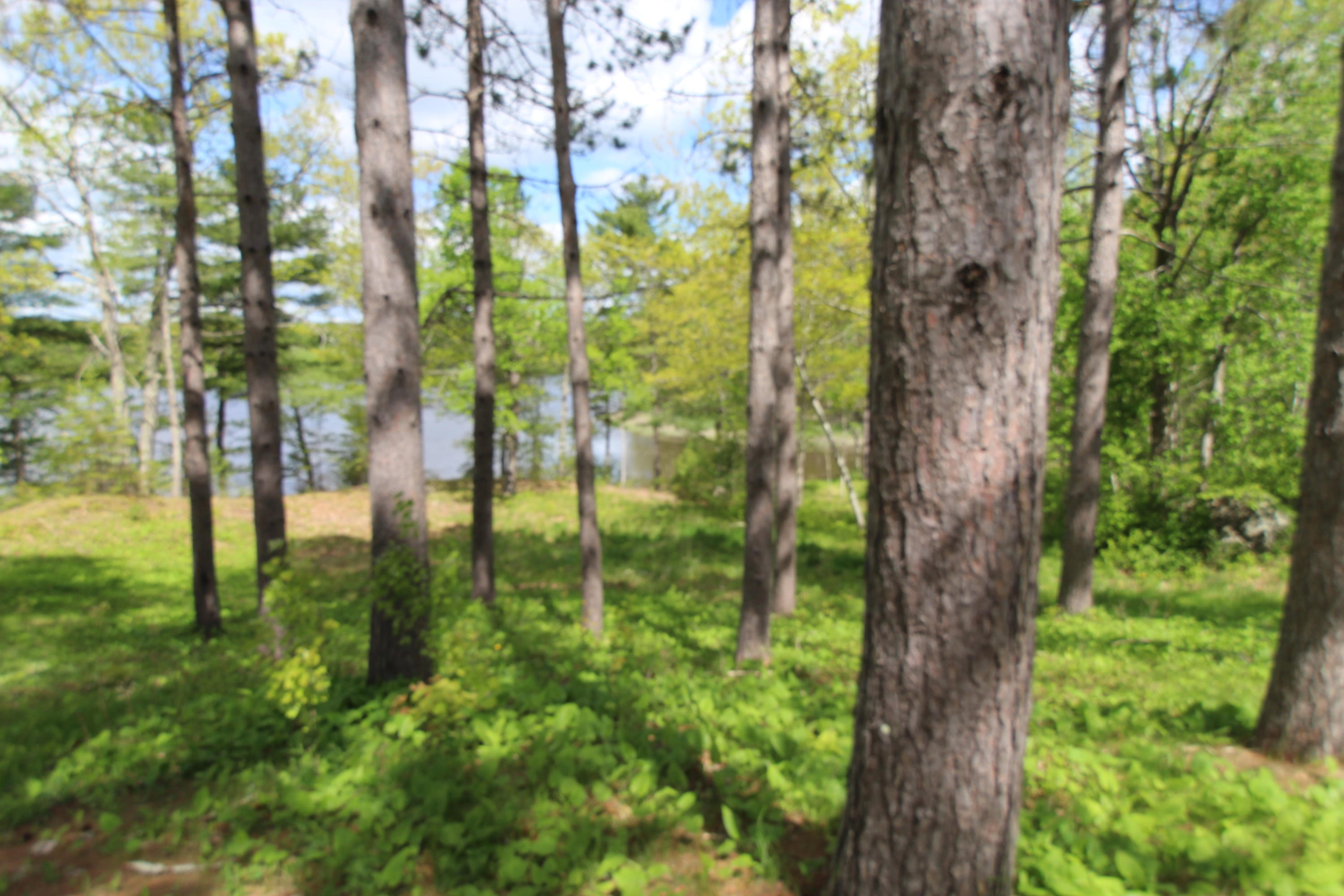 447 Castine Road Orland, ME 04472 - Photo 54 of 92 IMG_7243