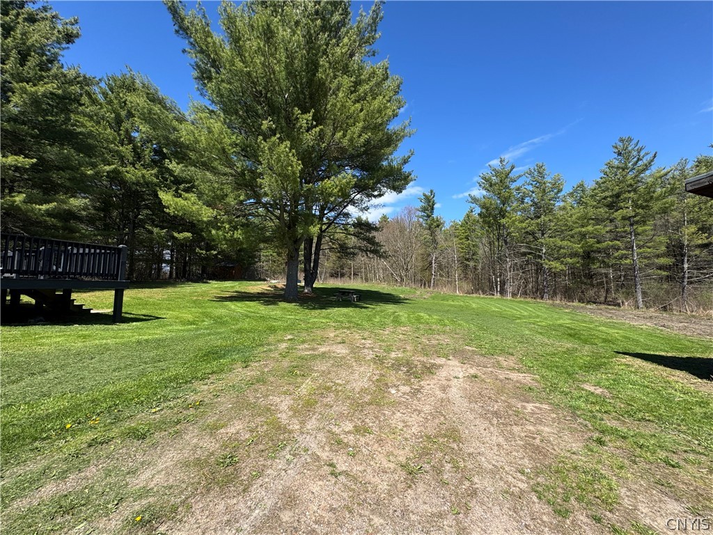 27415 Limestone Road Alexandria, NY 13679 - Photo 44 of 44