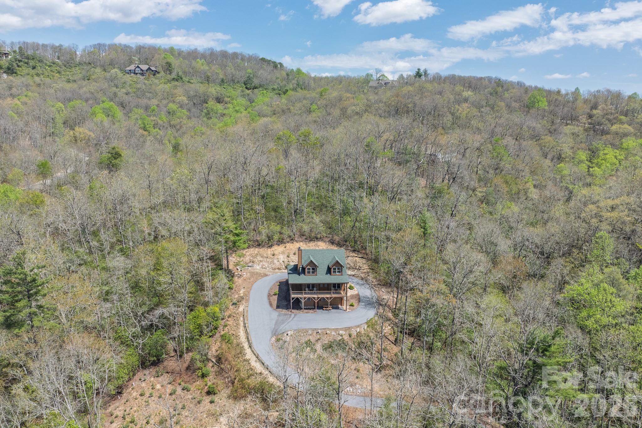 3171 East Fork Road Brevard, NC 28712 - Photo 11 of 48
