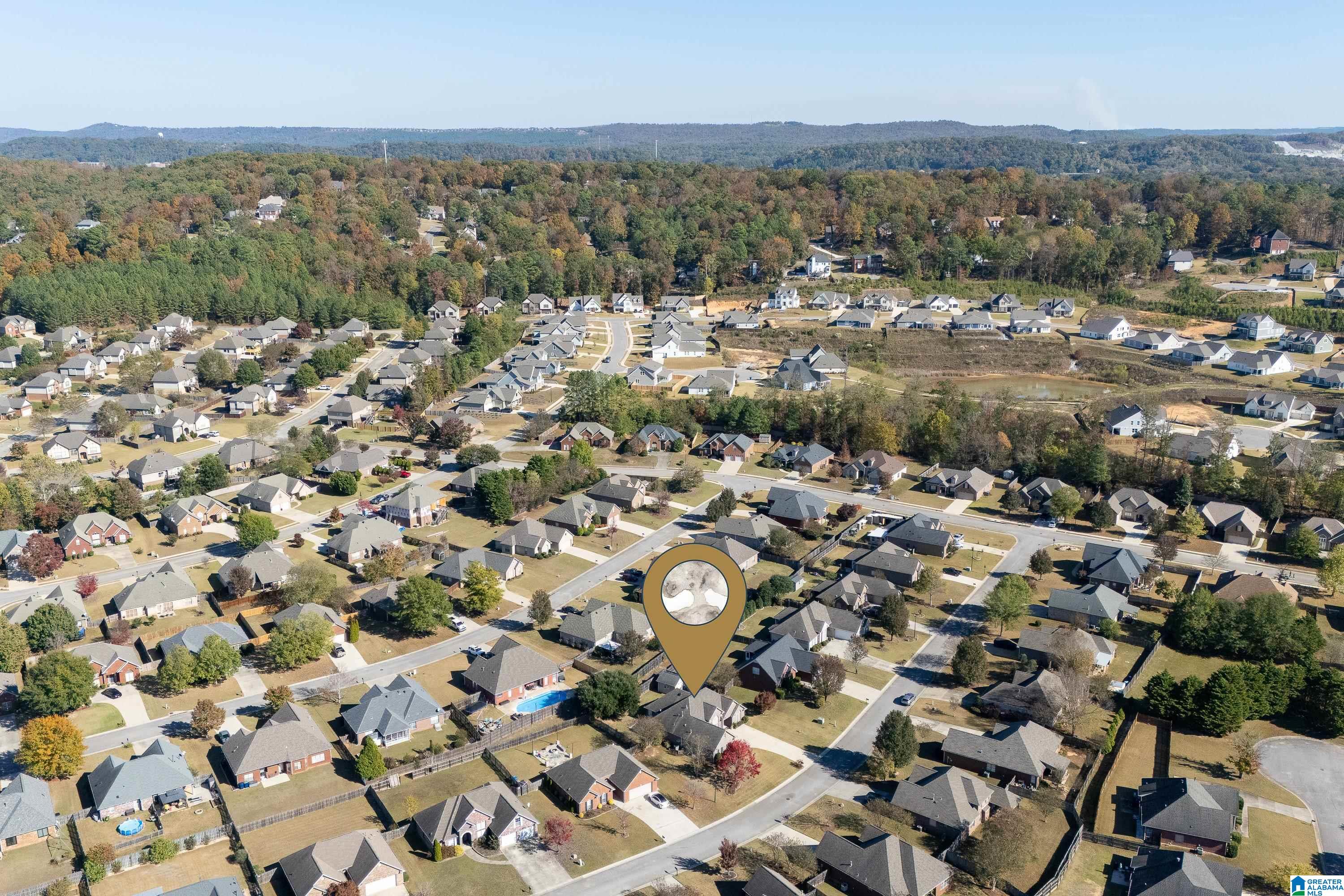 233 Queens Gate Alabaster, AL 35114 - Photo 42 of 49