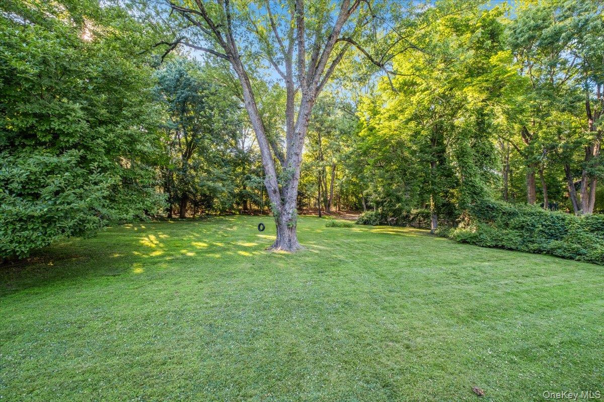 372 Fort Hill Road Scarsdale, NY 10583 - Photo 31 of 40 Picture perfect tree complete with swing.
